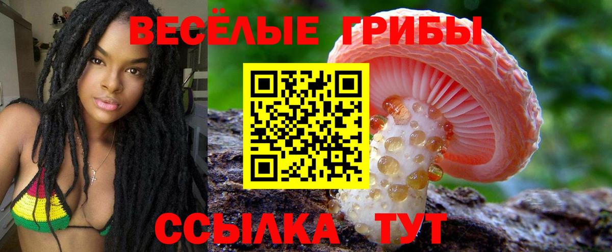 Нефтеюганск  Галлюциногенные грибы прущие грибы  Вход с VPN 